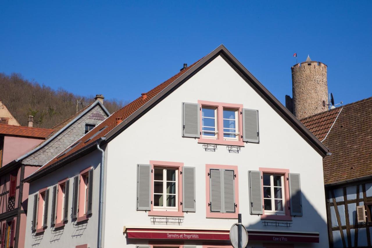 Chambres Chez Laurence Kaysersberg-Vignoble Luaran gambar